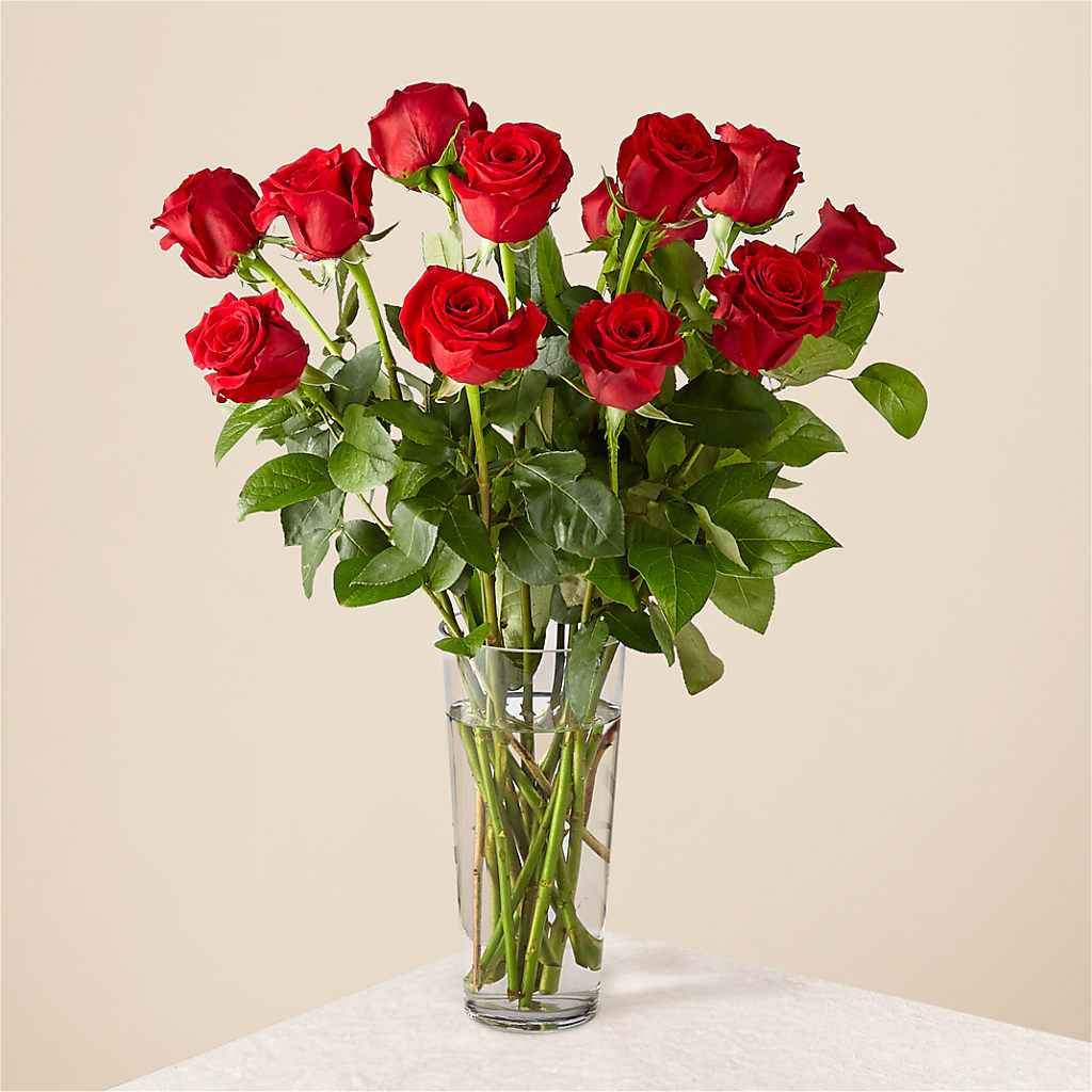 Long Stem Red Rose Bouquet – MARIE'S FLOWER & GIFT SHOPPE INC, Moultrie GA