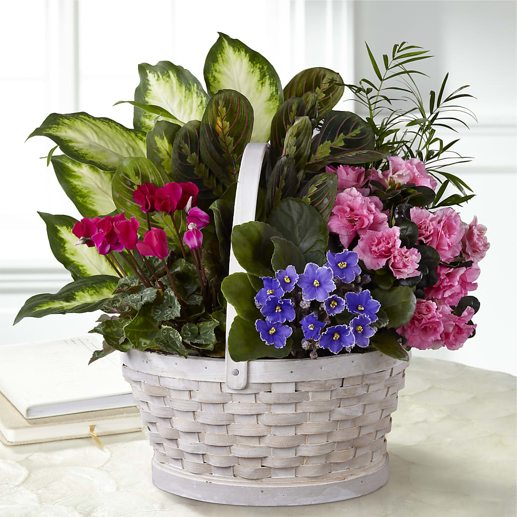 Peaceful Garden Planter – MARIE'S FLOWER & GIFT SHOPPE INC, Moultrie GA