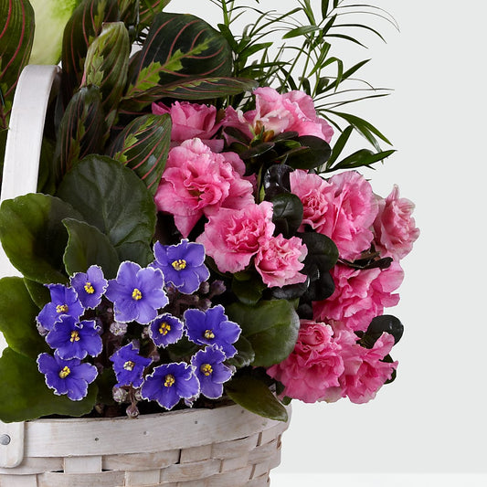 Peaceful Garden Planter – MARIE'S FLOWER & GIFT SHOPPE INC, Moultrie GA