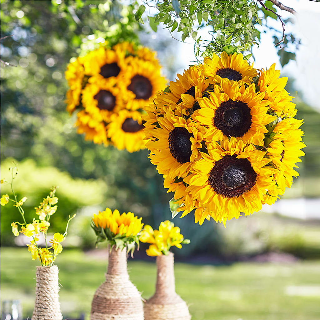 Sublime Garden Hanging Arrangement – MARIE'S FLOWER & GIFT SHOPPE INC, Moultrie GA