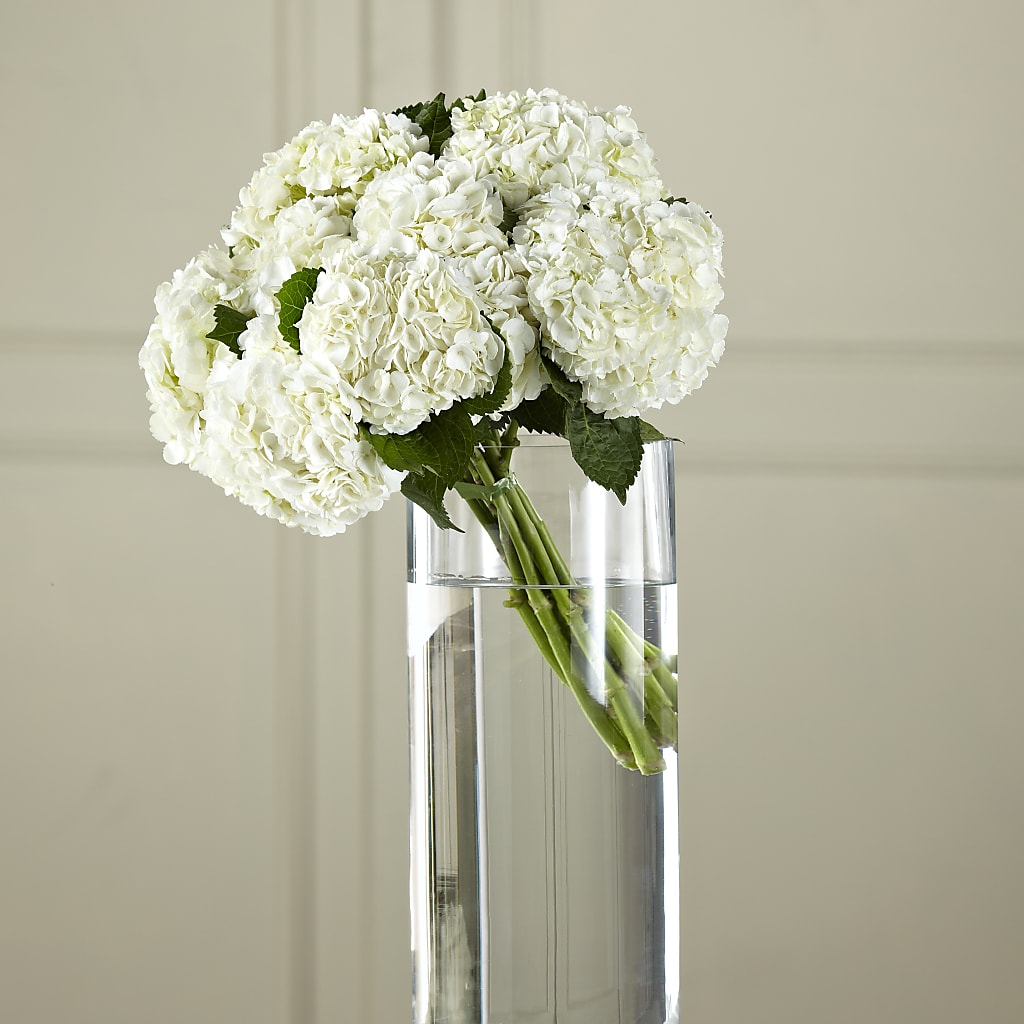 White Hydrangea Hand-Tied Bouquet – MARIE'S FLOWER & GIFT SHOPPE INC, Moultrie GA