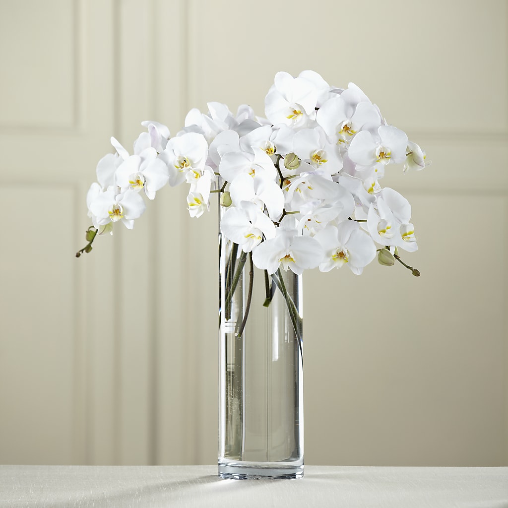 White Phalaenopsis Bouquet – MARIE'S FLOWER & GIFT SHOPPE INC, Moultrie GA