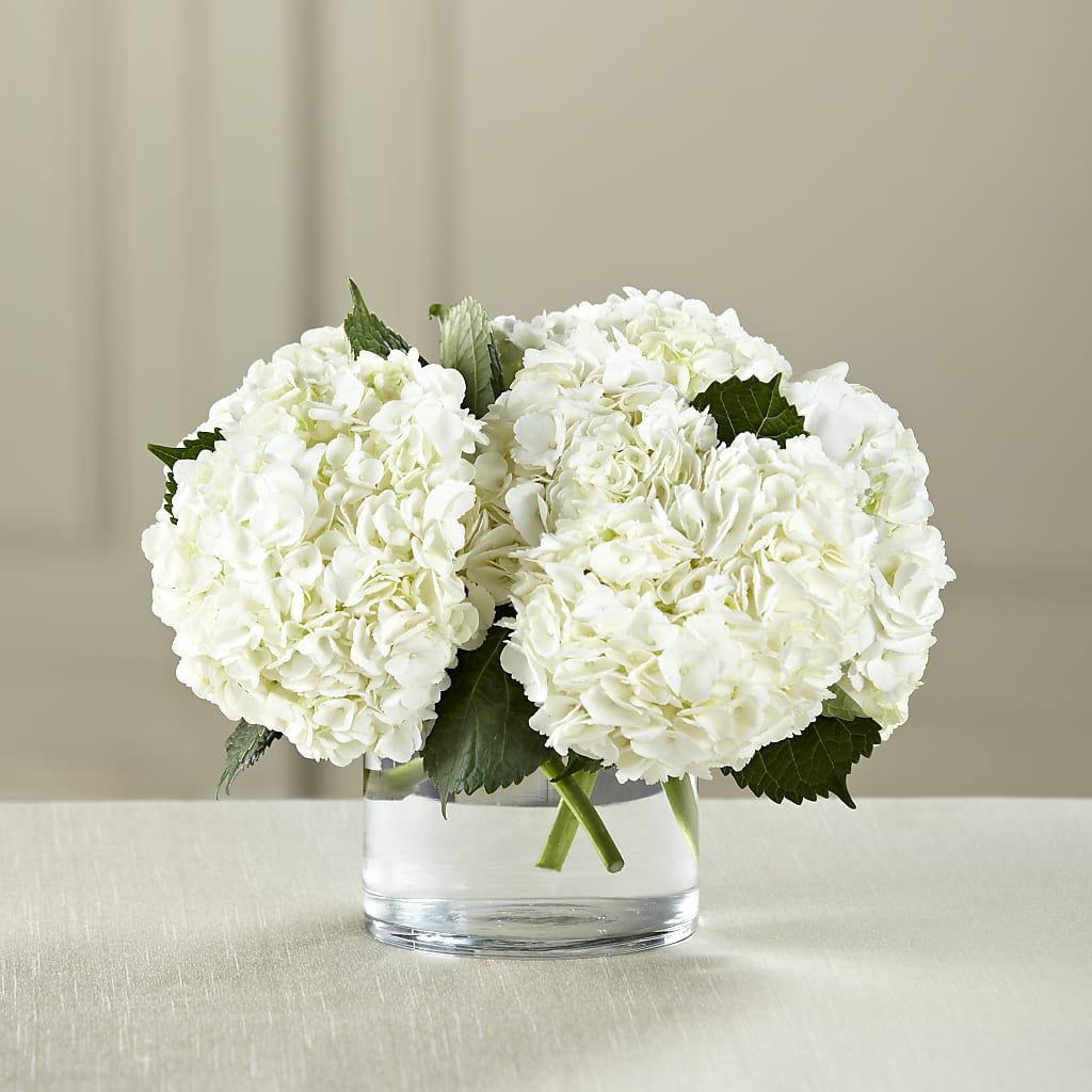 White Hydrangea Bouquet – MARIE'S FLOWER & GIFT SHOPPE INC, Moultrie GA