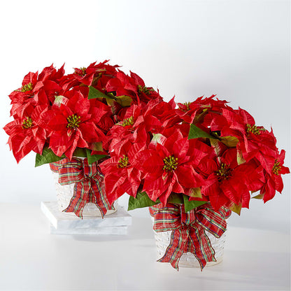Happiest Holidays Poinsettia Bundle – MARIE'S FLOWER & GIFT SHOPPE INC, Moultrie GA