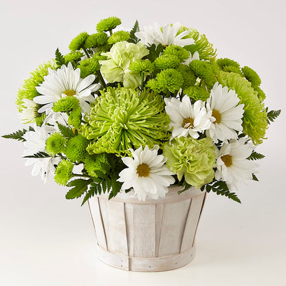 Lucky Charm Basket (Standard) – MARIE'S FLOWER & GIFT SHOPPE INC, Moultrie GA