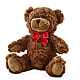 Adorable Plush Bear – MARIE'S FLOWER & GIFT SHOPPE INC, Moultrie GA