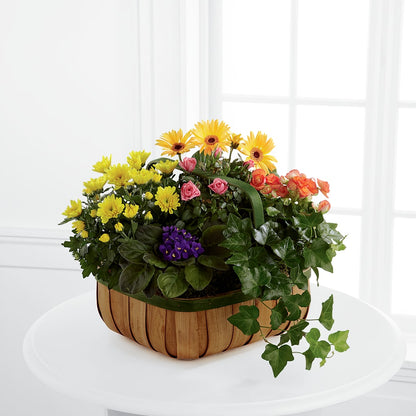 Gentle Blossoms Basket – MARIE'S FLOWER & GIFT SHOPPE INC, Moultrie GA