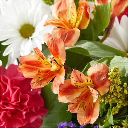 Oopsie Daisy Box Bouquet – MARIE'S FLOWER & GIFT SHOPPE INC, Moultrie GA