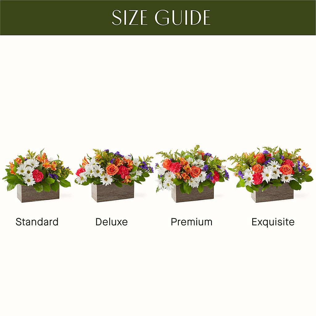 Oopsie Daisy Box Bouquet – MARIE'S FLOWER & GIFT SHOPPE INC, Moultrie GA