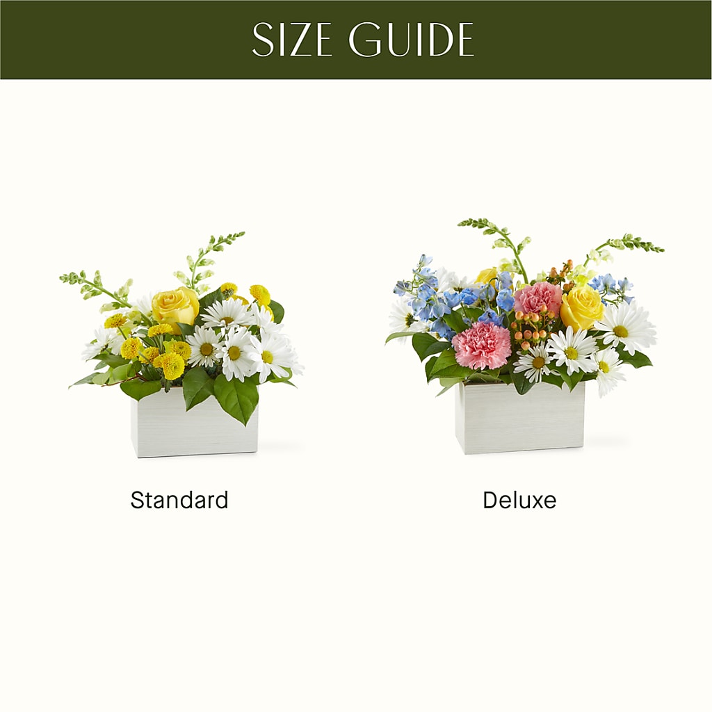 Sun Salutation Box Bouquet – MARIE'S FLOWER & GIFT SHOPPE INC, Moultrie GA