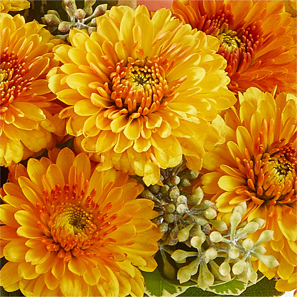 Peachy Pumpkin – MARIE'S FLOWER & GIFT SHOPPE INC, Moultrie GA