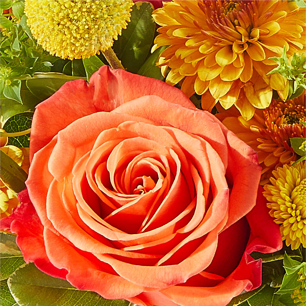 Gourdgeous Pumpkin – MARIE'S FLOWER & GIFT SHOPPE INC, Moultrie GA