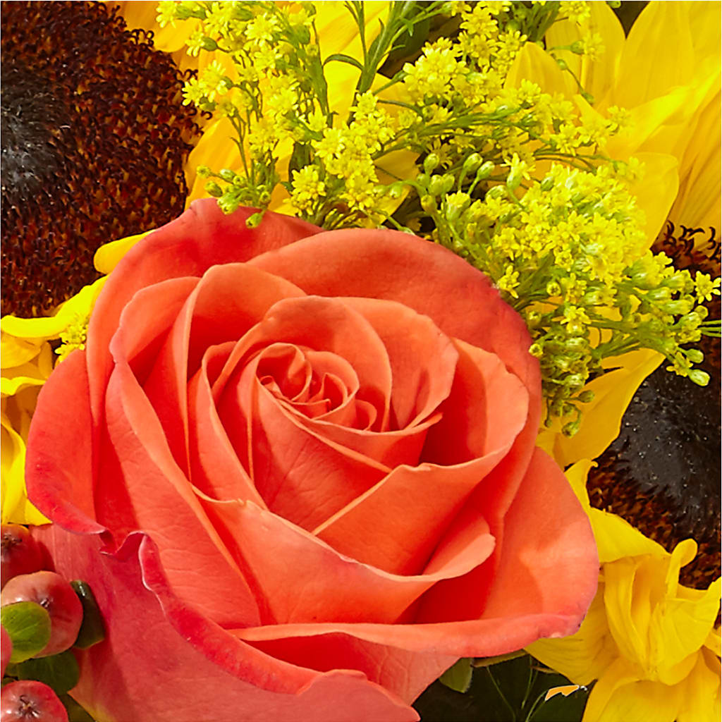Pick of the Patch Pumpkin Bouquet – MARIE'S FLOWER & GIFT SHOPPE INC, Moultrie GA