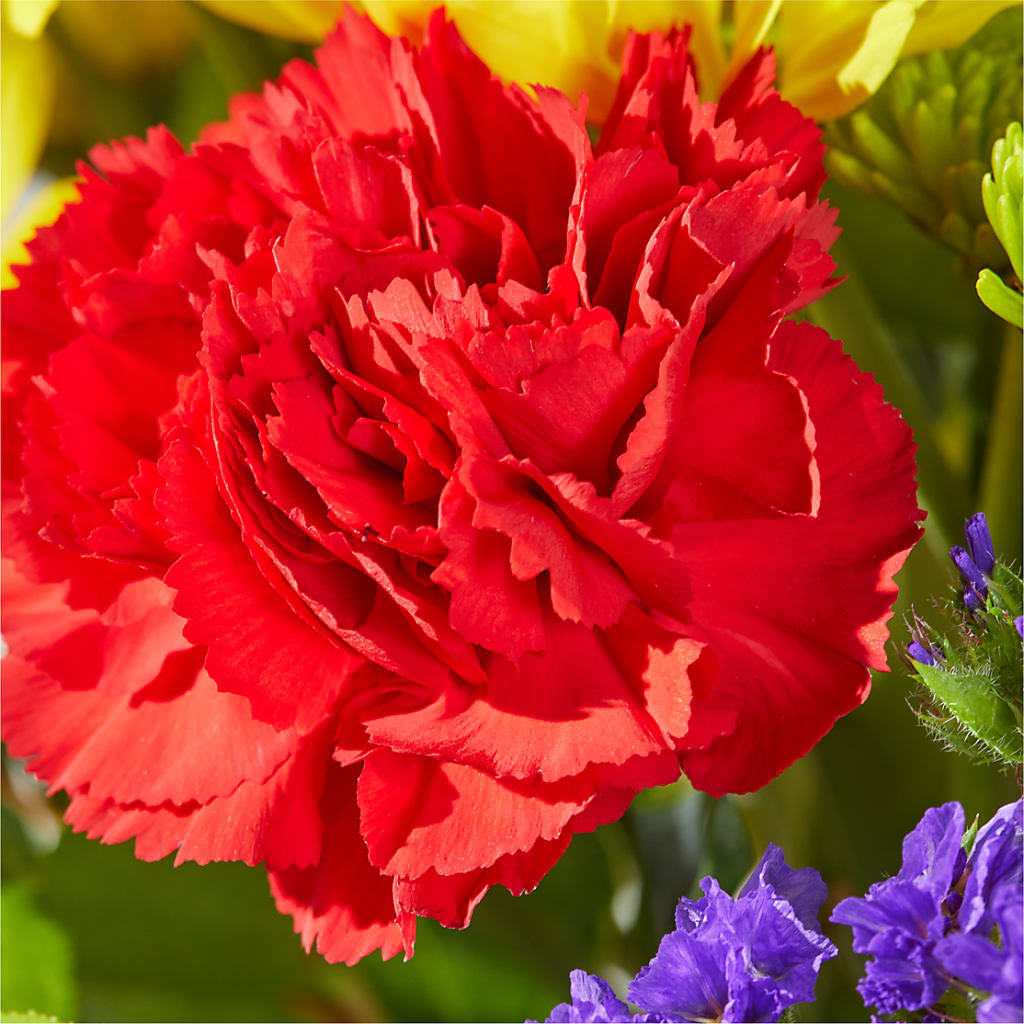 Brighter Days Bouquet – MARIE'S FLOWER & GIFT SHOPPE INC, Moultrie GA