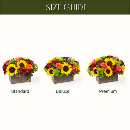 Happy Harvest Garden – MARIE'S FLOWER & GIFT SHOPPE INC, Moultrie GA