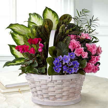 Peaceful Garden Planter – MARIE'S FLOWER & GIFT SHOPPE INC, Moultrie GA