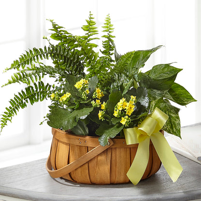 Always Dear Dishgarden – MARIE'S FLOWER & GIFT SHOPPE INC, Moultrie GA