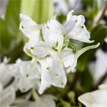 Classic Ivory – A Florist Original – MARIE'S FLOWER & GIFT SHOPPE INC, Moultrie GA