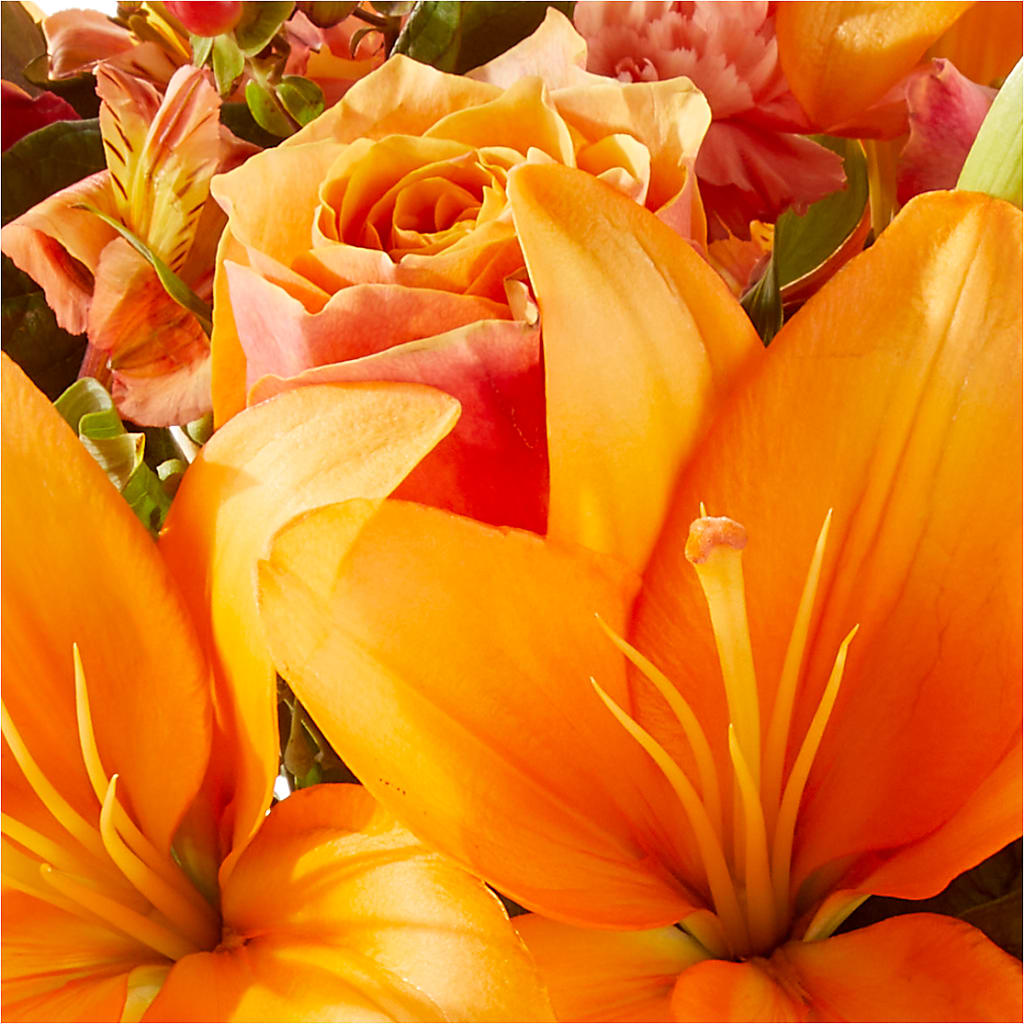 Afternoon Light Bouquet – MARIE'S FLOWER & GIFT SHOPPE INC, Moultrie GA