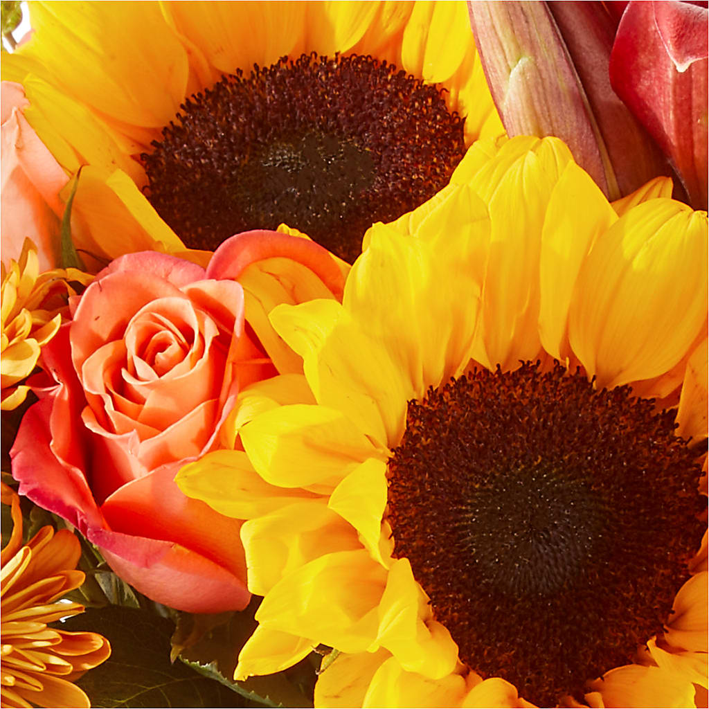 Acorn Lane Bouquet – MARIE'S FLOWER & GIFT SHOPPE INC, Moultrie GA