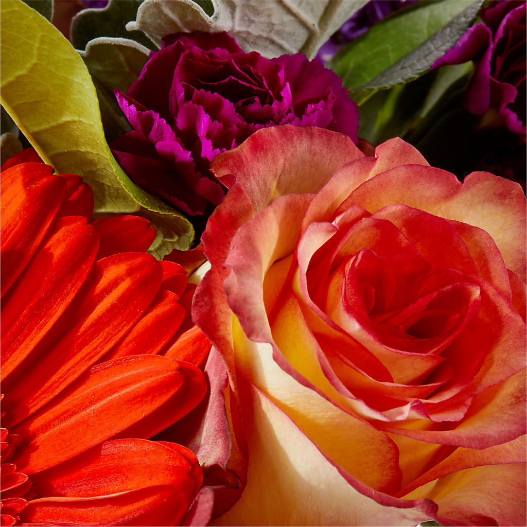 Sangria Bouquet – MARIE'S FLOWER & GIFT SHOPPE INC, Moultrie GA
