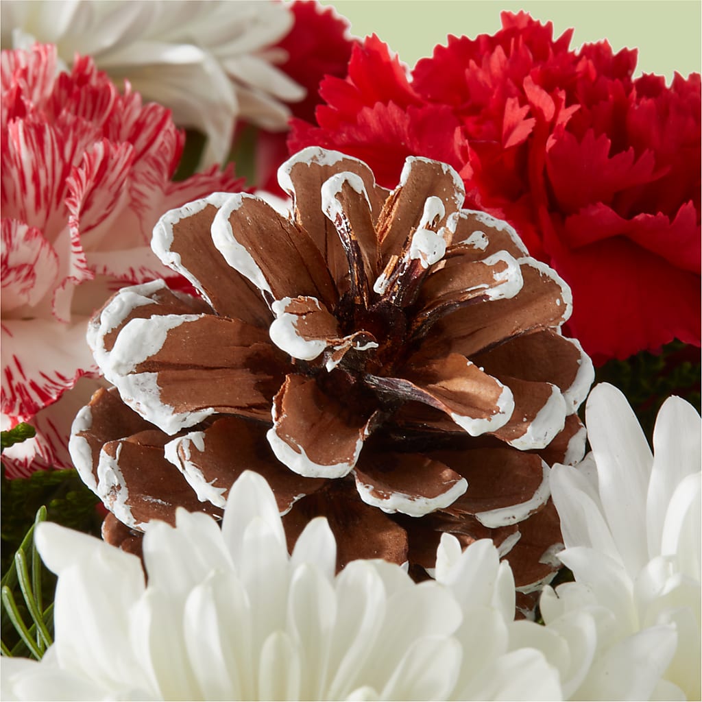 Candy Cane Lane Bouquet – MARIE'S FLOWER & GIFT SHOPPE INC, Moultrie GA