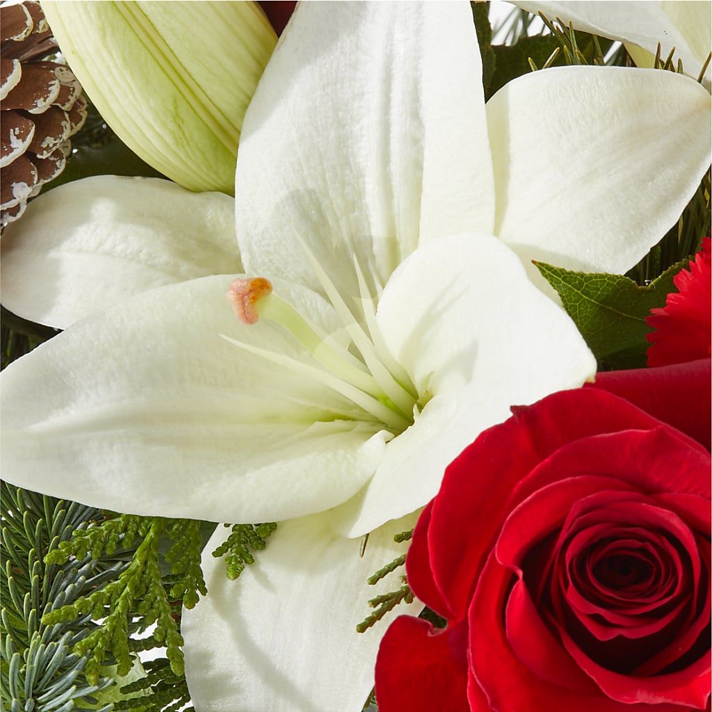 Oh So Jolly Bouquet – MARIE'S FLOWER & GIFT SHOPPE INC, Moultrie GA