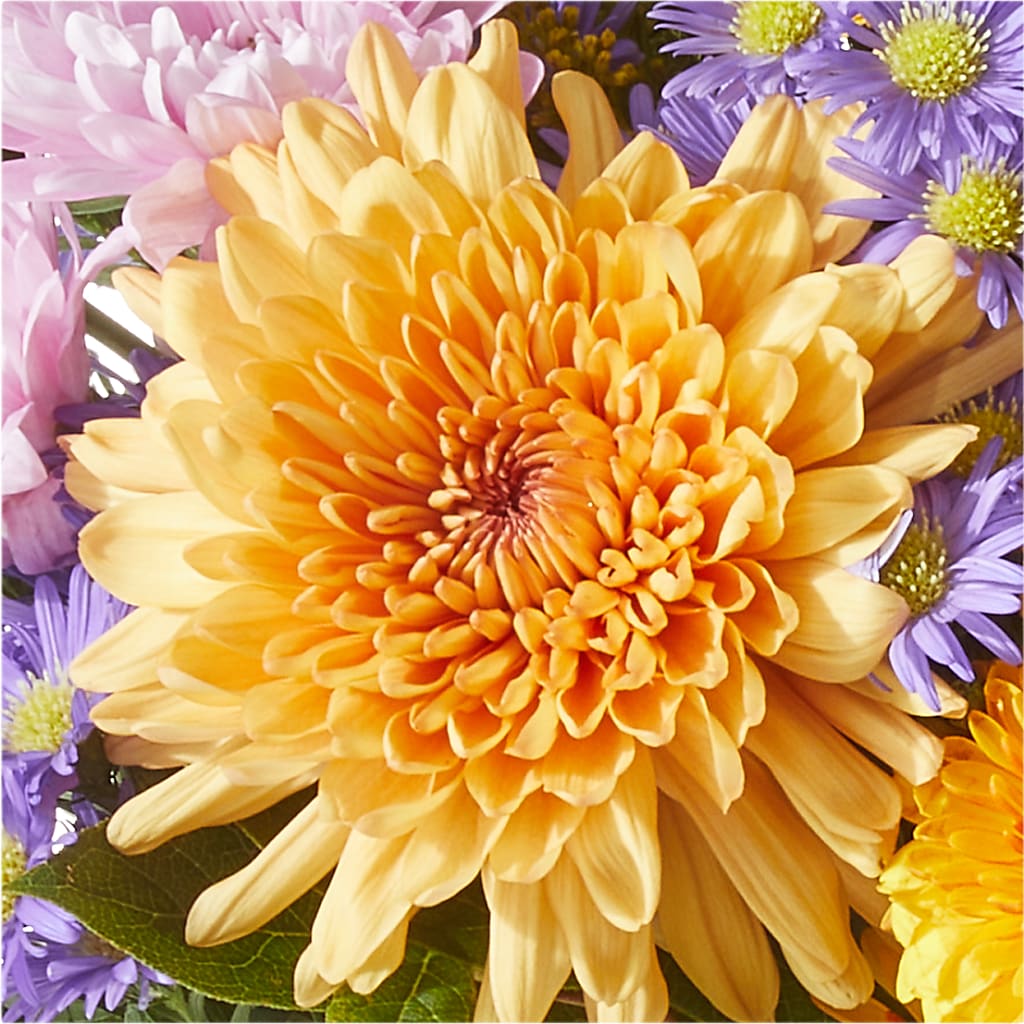 Countryside Bouquet – MARIE'S FLOWER & GIFT SHOPPE INC, Moultrie GA