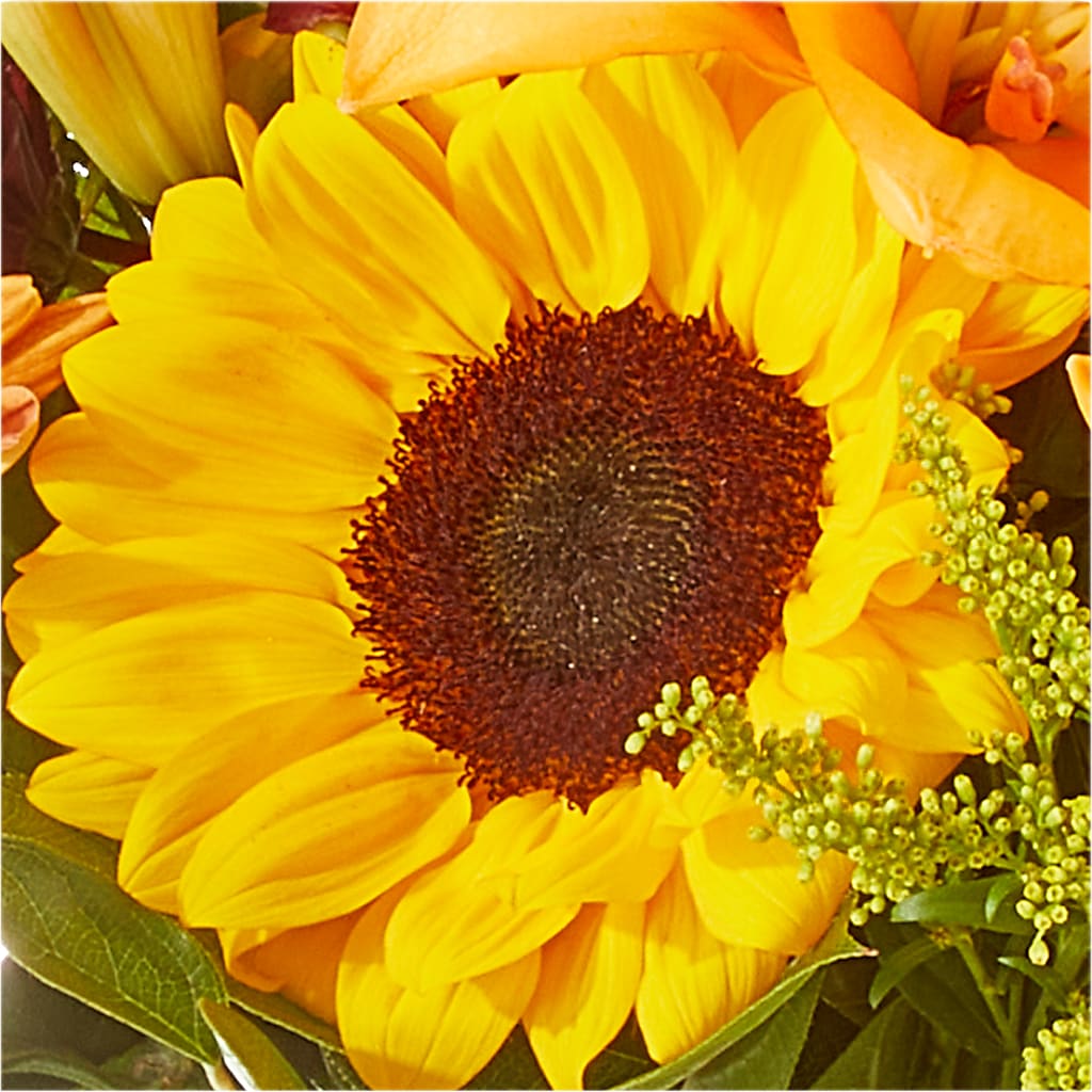 Seasons Change Bouquet – MARIE'S FLOWER & GIFT SHOPPE INC, Moultrie GA