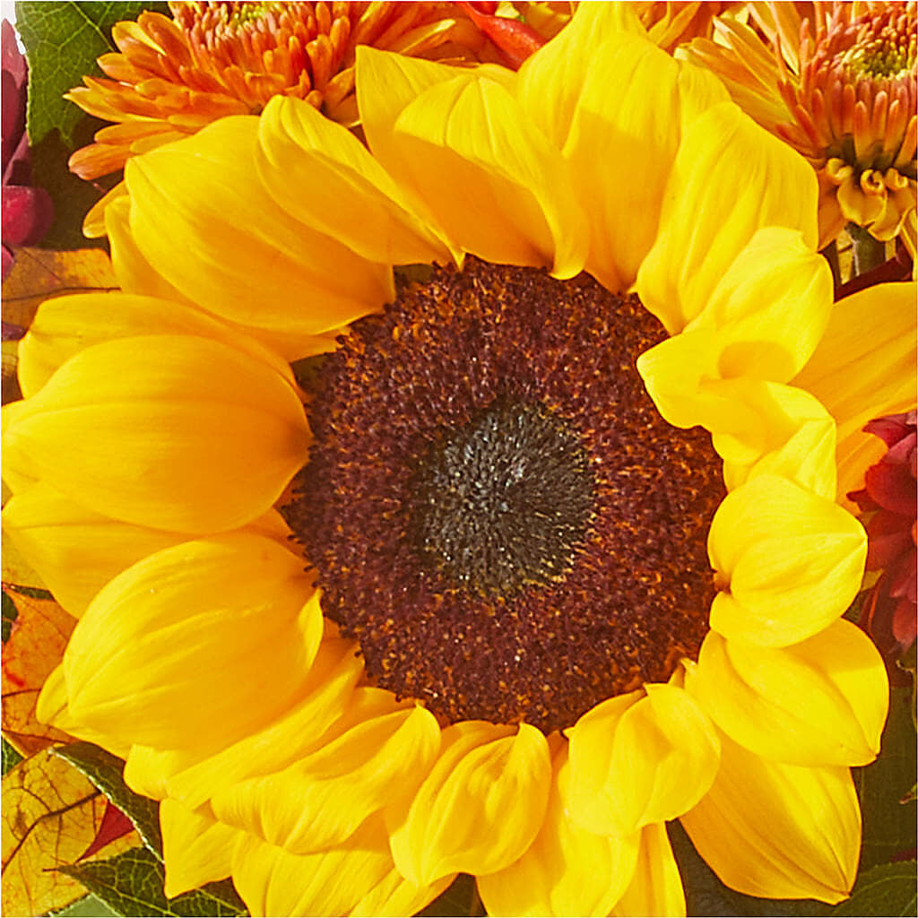 Sunny Side Bouquet – MARIE'S FLOWER & GIFT SHOPPE INC, Moultrie GA
