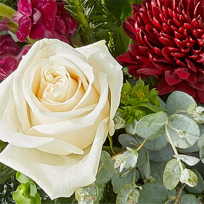 Cranberry Fizz Bouquet – MARIE'S FLOWER & GIFT SHOPPE INC, Moultrie GA