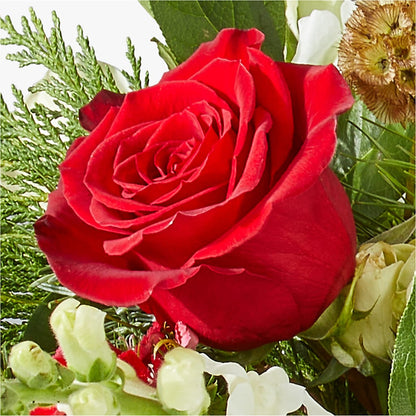 Deck the Halls Bouquet – MARIE'S FLOWER & GIFT SHOPPE INC, Moultrie GA
