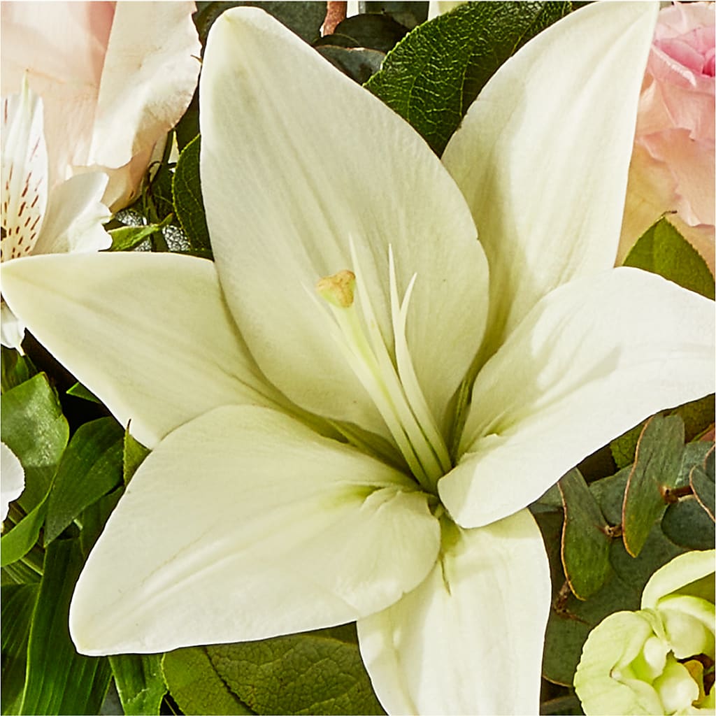 Ballet Slippers Bouquet – MARIE'S FLOWER & GIFT SHOPPE INC, Moultrie GA