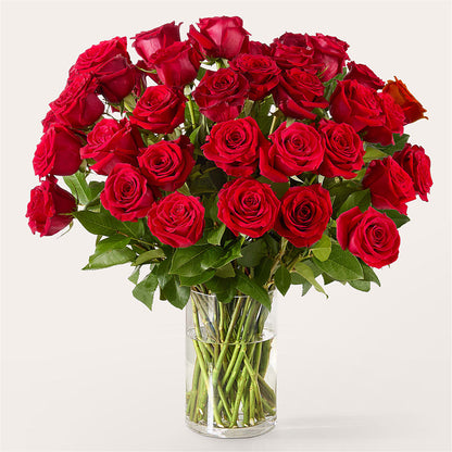 The One Red Rose Bouquet – MARIE'S FLOWER & GIFT SHOPPE INC, Moultrie GA