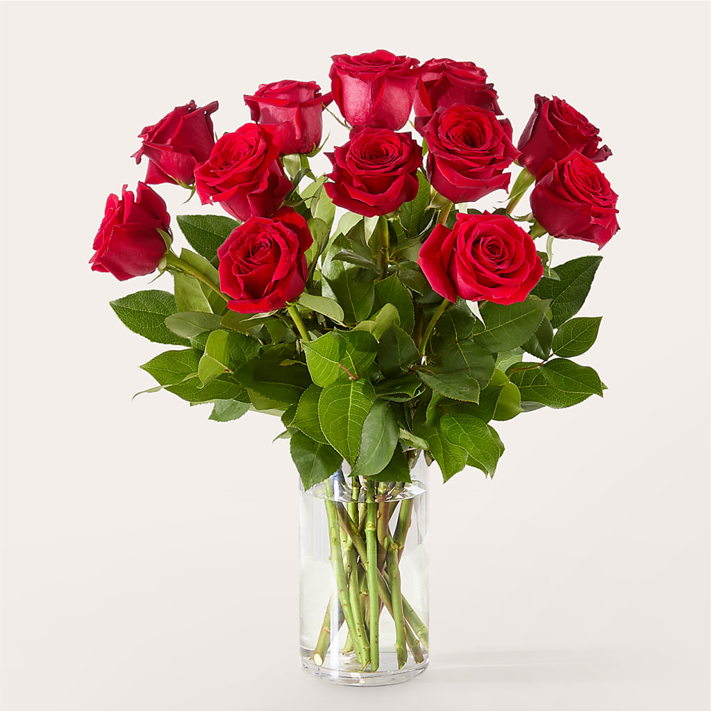 The One Red Rose Bouquet – MARIE'S FLOWER & GIFT SHOPPE INC, Moultrie GA