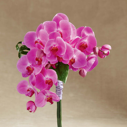 Glorious Bouquet – MARIE'S FLOWER & GIFT SHOPPE INC, Moultrie GA