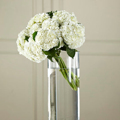 White Hydrangea Hand-Tied Bouquet – MARIE'S FLOWER & GIFT SHOPPE INC, Moultrie GA