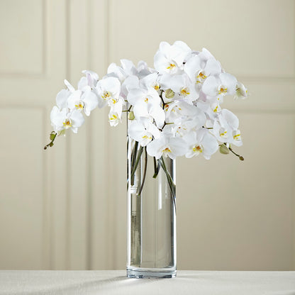 White Phalaenopsis Bouquet – MARIE'S FLOWER & GIFT SHOPPE INC, Moultrie GA