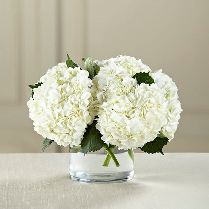White Hydrangea Bouquet – MARIE'S FLOWER & GIFT SHOPPE INC, Moultrie GA